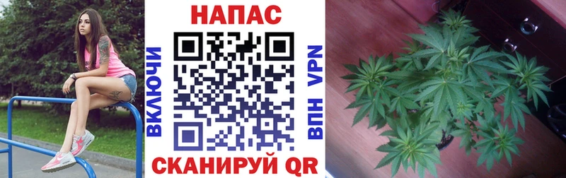 Купить закладку Бежецк Канабис Cocaine Гашиш МЕФ