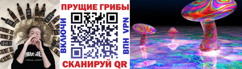 где найти наркотики  hydra ТОР  Галлюциногенные грибы Magic Shrooms  Бежецк 